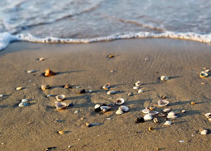 Appartamento In 54743 *